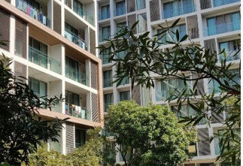 Кондоминиум в Чиангмае, Таиланд | THE556831