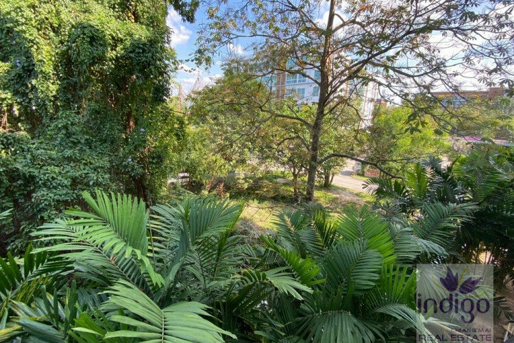 Кондоминиум в Чиангмае, Таиланд | THE556727