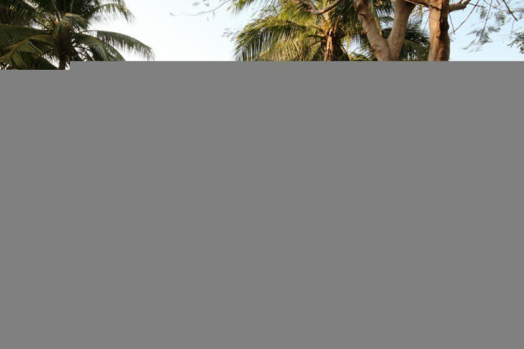 Кондоминиум в Хуахине, Таиланд | THE157715