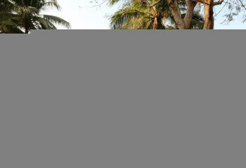 Кондоминиум в Хуахине, Таиланд | THE157715