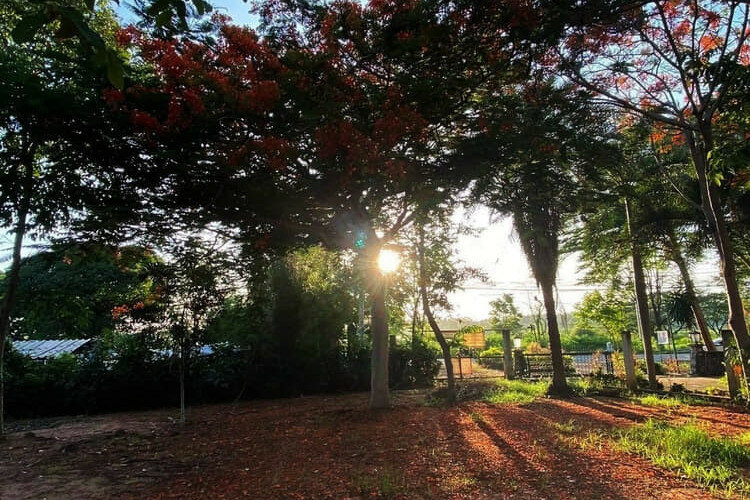 Земельный участок в Банг Ламунге, Таиланд | THE543425