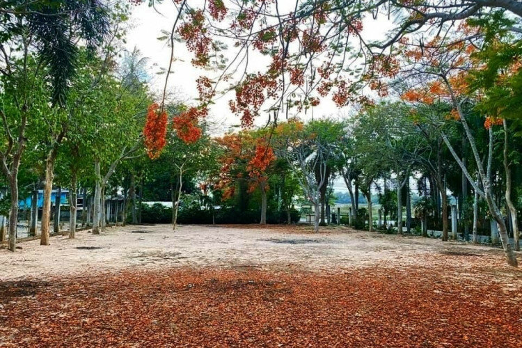 Земельный участок в Банг Ламунге, Таиланд | THE543425