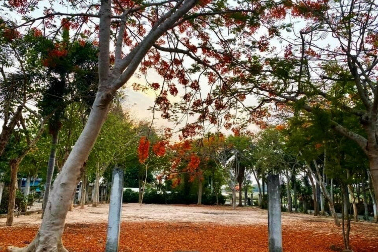 Земельный участок в Банг Ламунге, Таиланд | THE543425