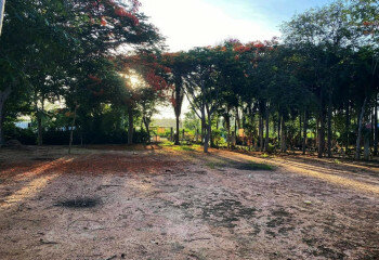 Земельный участок в Банг Ламунге, Таиланд | THE543425