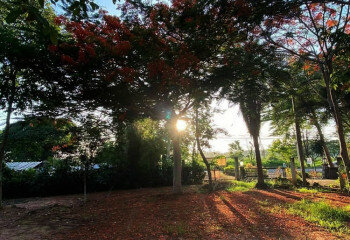 Земельный участок в Банг Ламунге, Таиланд | THE543425