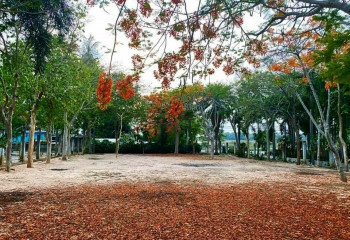 Земельный участок в Банг Ламунге, Таиланд | THE543425