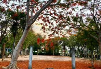 Земельный участок в Банг Ламунге, Таиланд | THE543425