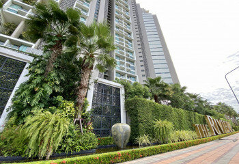 Квартира в Джомтьене, Паттайя, Таиланд | THE134713