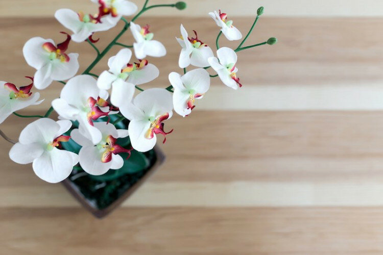 Дом в Банг Тао, Таиланд | THE304599