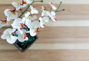 Дом в Банг Тао, Таиланд | THE304599