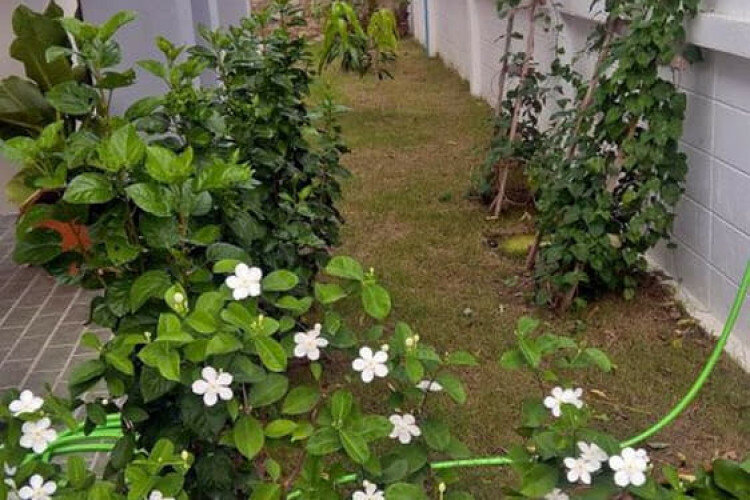 Дом в Паттайе, Таиланд | THE221366