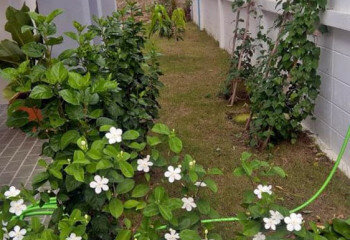 Дом в Паттайе, Таиланд | THE221366