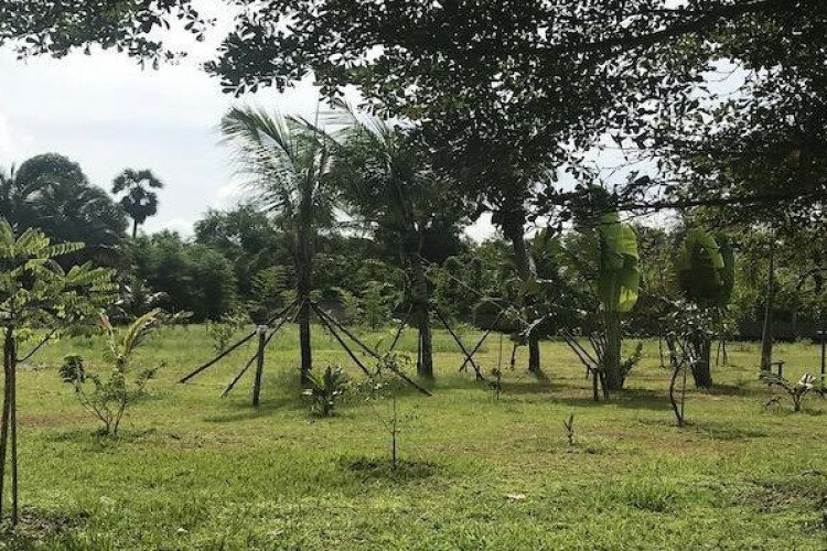 Дом на Пхукете, Таиланд | THE355929