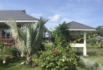 Дом на Пхукете, Таиланд | THE355929