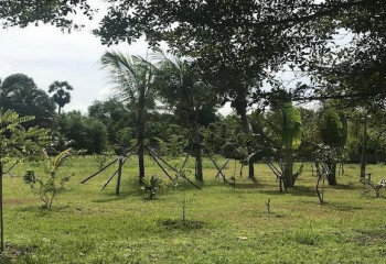 Дом на Пхукете, Таиланд | THE355929