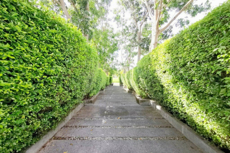 Дом в Паттайе, Таиланд | THE423809