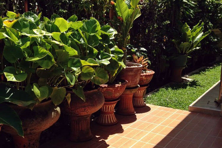 Дом в Паттайе, Таиланд | THE525679