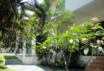 Дом в Паттайе, Таиланд | THE446665