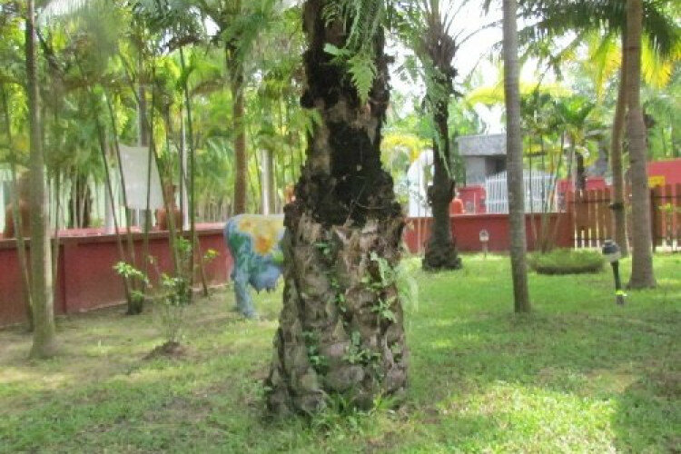 Дом в Паттайе, Таиланд | THE122238