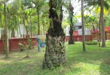 Дом в Паттайе, Таиланд | THE122238