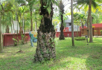 Дом в Паттайе, Таиланд | THE122238