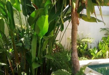 Дом в Паттайе, Таиланд | THE246711