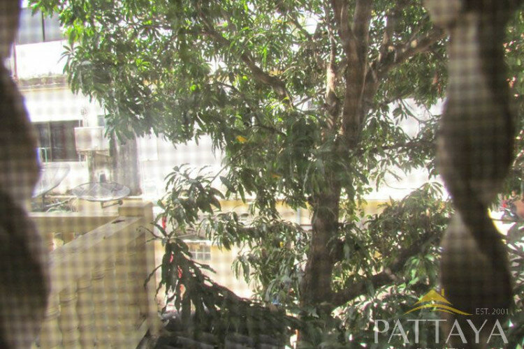 Дом в Паттайе, Таиланд | THE346670