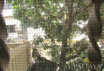 Дом в Паттайе, Таиланд | THE346670