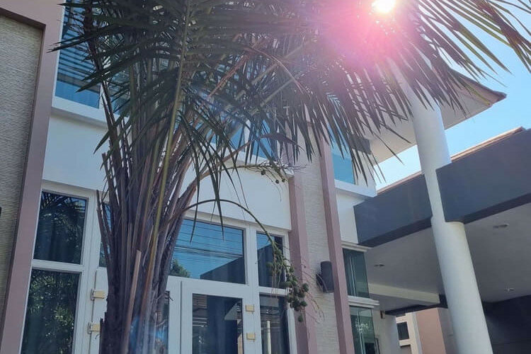 Дом в Бангкоке, Таиланд | THE148897