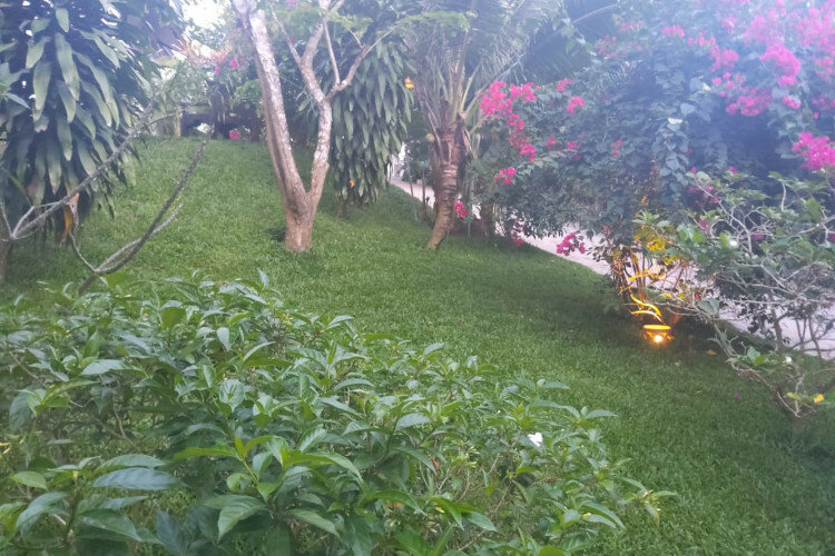 Вилла на острове Самуй, Таиланд | THE308826