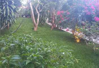 Вилла на острове Самуй, Таиланд | THE308826