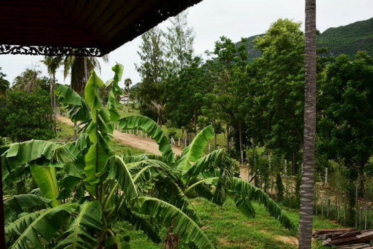 Дом в Сам Рой Йот, Хуахин, Таиланд | THE357594