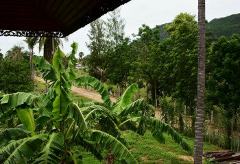 Дом в Сам Рой Йот, Хуахин, Таиланд | THE357594