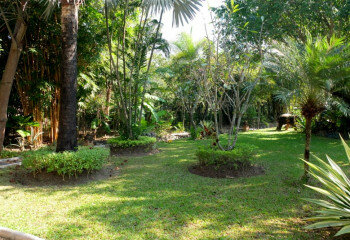 Дом в Сан Кампаенге, Таиланд | THE156873