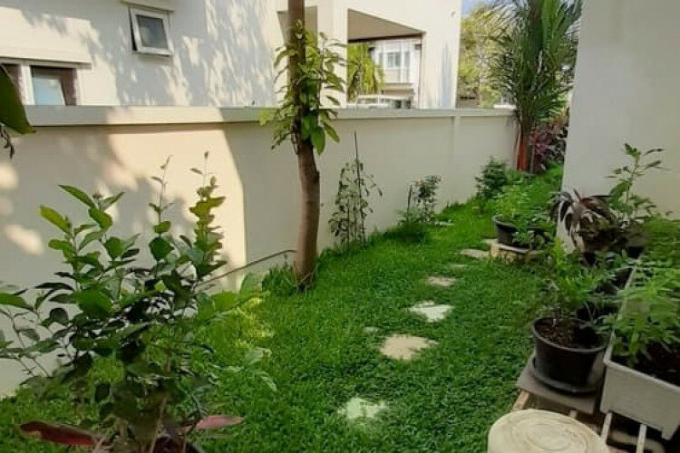 Дом в Сан-Сае, Таиланд | THE156665