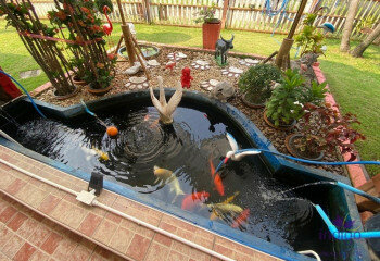 Дом в Сан-Сае, Таиланд | THE256656