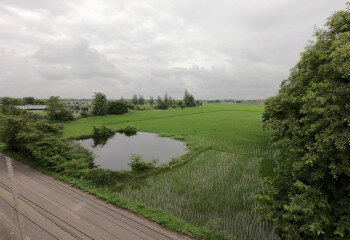 Дом в Ханг Донге, Таиланд | THE256785