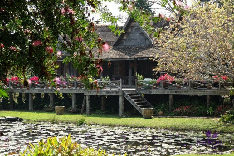 Дом в Чиангмае, Таиланд | THE256561