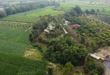 Дом в Чиангмае, Таиланд | THE356554