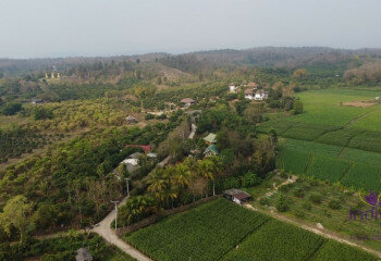 Дом в Чиангмае, Таиланд | THE356554