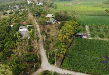 Дом в Чиангмае, Таиланд | THE356554