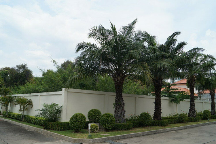 Земельный участок в Банг Ламунге, Таиланд | THE138857