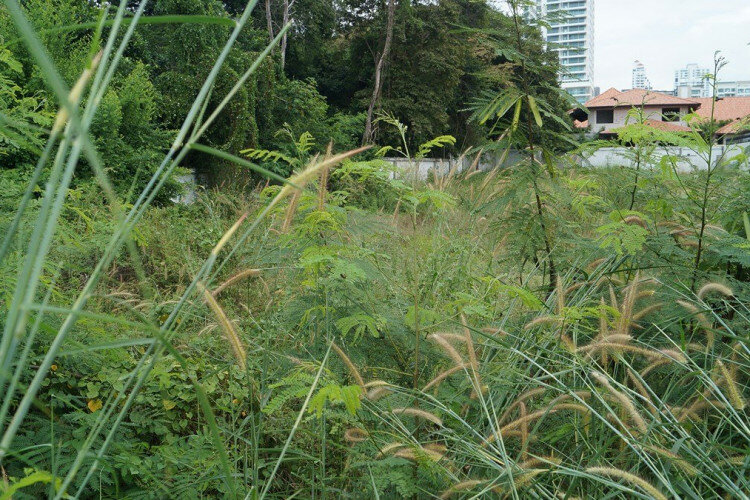 Земельный участок в Банг Ламунге, Таиланд | THE138857