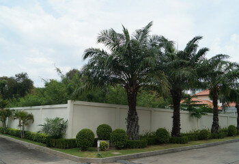 Земельный участок в Банг Ламунге, Таиланд | THE138857