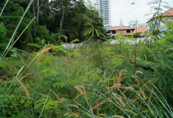 Земельный участок в Банг Ламунге, Таиланд | THE138857