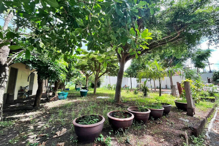 Земельный участок в Банг Ламунге, Таиланд | THE243291