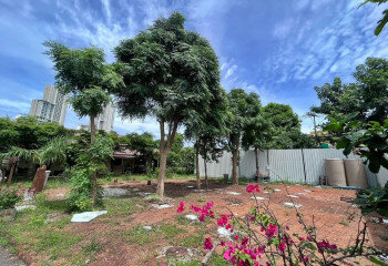 Земельный участок в Банг Ламунге, Таиланд | THE243291