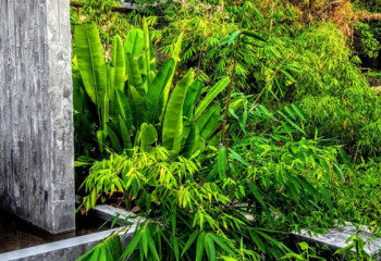 Вилла на острове Самуй, Таиланд | THE408873