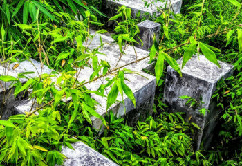 Вилла на острове Самуй, Таиланд | THE408873