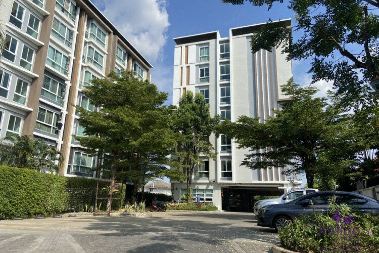 Кондоминиум в Чиангмае, Таиланд | THE256596